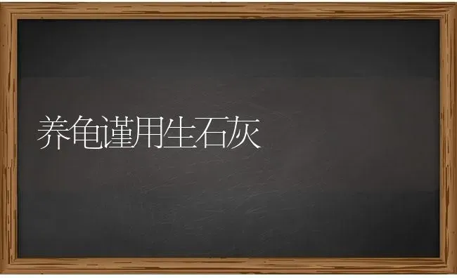养龟谨用生石灰 | 养殖知识