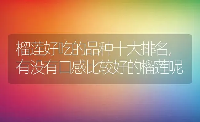 榴莲好吃的品种十大排名,有没有口感比较好的榴莲呢 | 养殖学堂