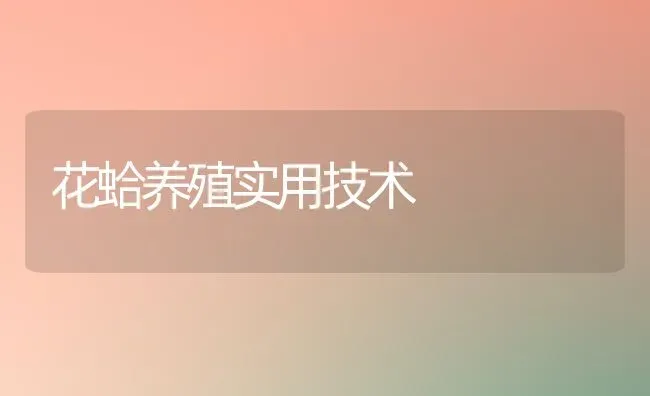 花蛤养殖实用技术 | 养殖技术大全