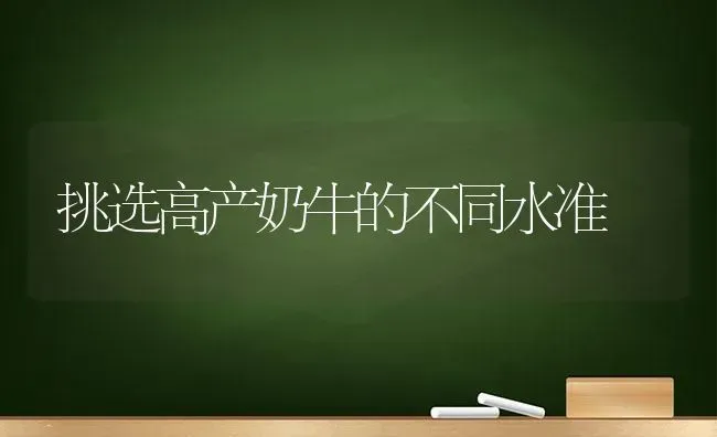 挑选高产奶牛的不同水准 | 养殖技术大全