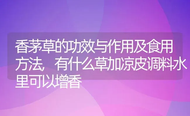 香茅草的功效与作用及食用方法,有什么草加凉皮调料水里可以增香 | 养殖学堂