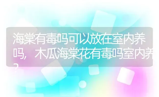 海棠有毒吗可以放在室内养吗,木瓜海棠花有毒吗室内养？ | 养殖科普