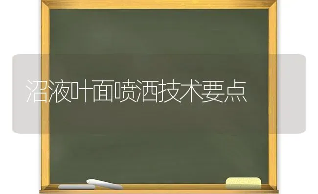 沼液叶面喷洒技术要点 | 养殖技术大全