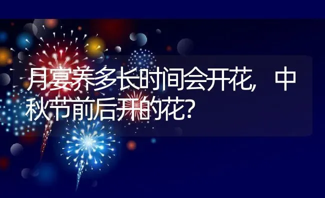 月宴养多长时间会开花,中秋节前后开的花？ | 养殖科普