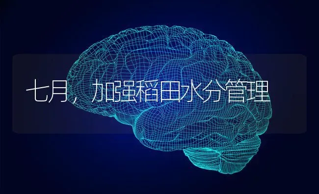 七月,加强稻田水分管理 | 养殖技术大全