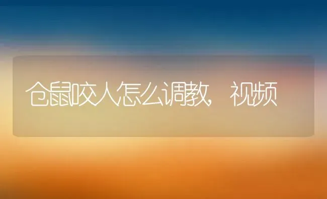 仓鼠咬人怎么调教,视频 | 养殖科普