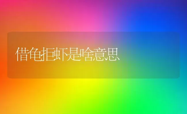 借龟拒虾是啥意思 | 养殖资料