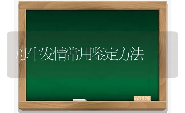 母牛发情常用鉴定方法 | 养殖知识