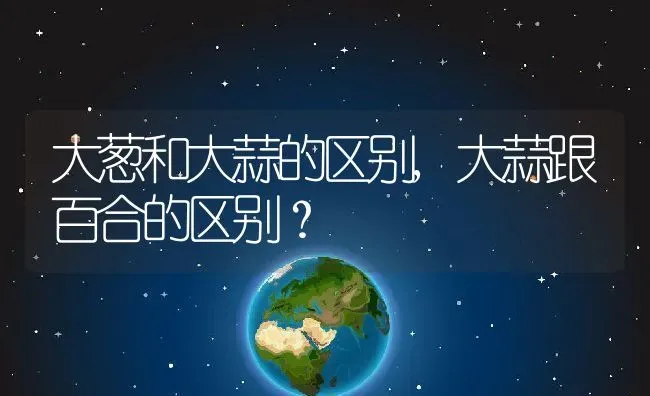 大葱和大蒜的区别,大蒜跟百合的区别？ | 养殖科普