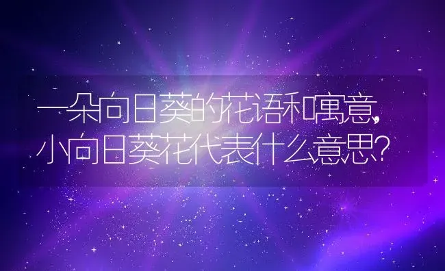 一朵向日葵的花语和寓意,小向日葵花代表什么意思？ | 养殖科普