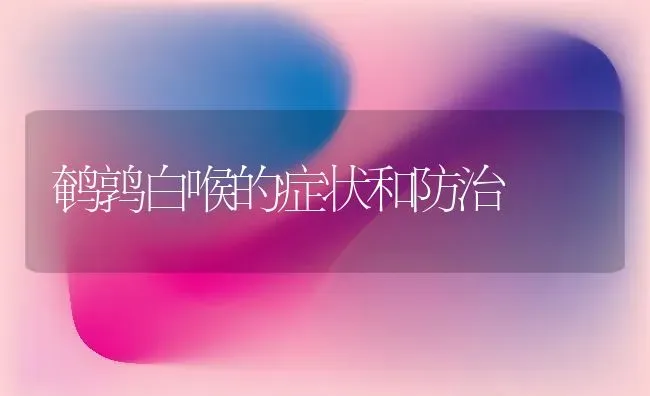 鹌鹑白喉的症状和防治 | 养殖技术大全