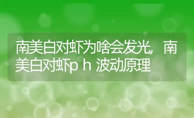 南美白对虾为啥会发光,南美白对虾ph波动原理 | 养殖学堂