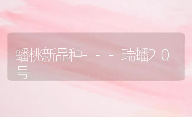 蟠桃新品种---瑞蟠20号 | 养殖知识