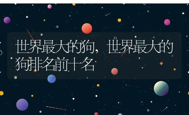 世界最大的狗,世界最大的狗排名前十名 | 养殖资料