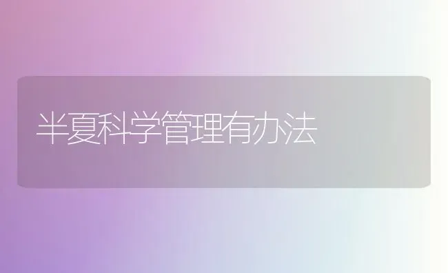 半夏科学管理有办法 | 养殖技术大全