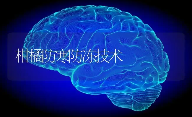 柑橘防寒防冻技术 | 养殖知识