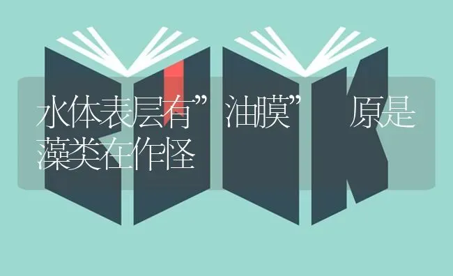 水体表层有”油膜” 原是藻类在作怪 | 养殖知识