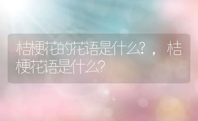 桔梗花的花语是什么?,桔梗花语是什么？ | 养殖学堂