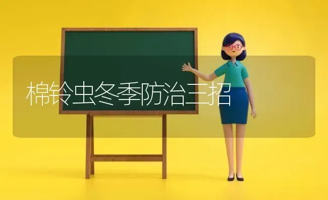 棉铃虫冬季防治三招 | 养殖知识