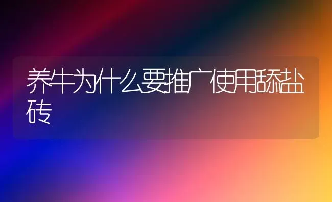 养牛为什么要推广使用舔盐砖 | 养殖技术大全