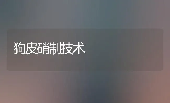 狗皮硝制技术 | 养殖技术大全