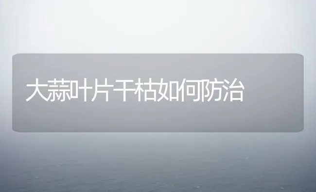 大蒜叶片干枯如何防治 | 养殖技术大全