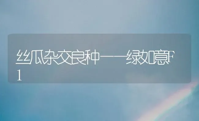 丝瓜杂交良种——绿如意F1 | 养殖技术大全