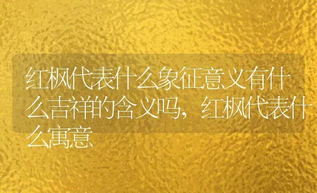 红枫代表什么象征意义有什么吉祥的含义吗,红枫代表什么寓意 | 养殖学堂