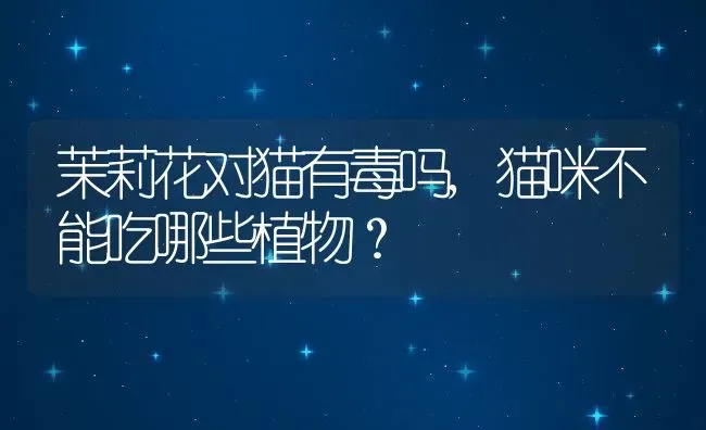茉莉花对猫有毒吗,猫咪不能吃哪些植物？ | 养殖科普