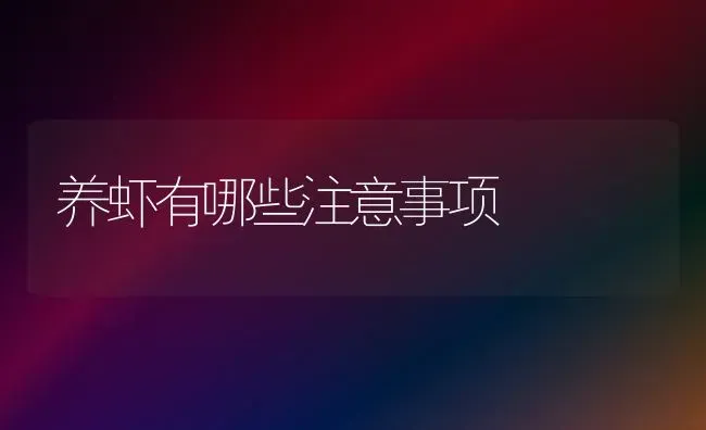 养虾有哪些注意事项 | 养殖技术大全