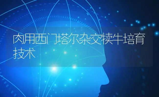 肉用西门塔尔杂交犊牛培育技术 | 养殖技术大全