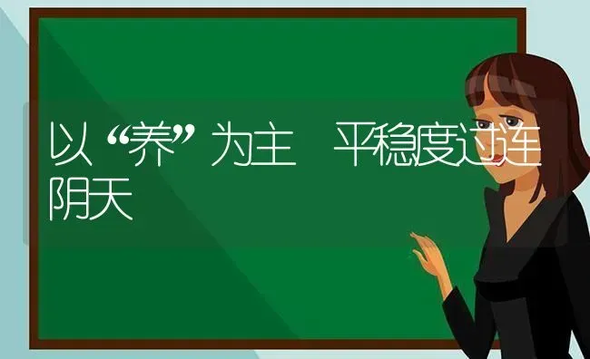 以“养”为主 平稳度过连阴天 | 养殖知识