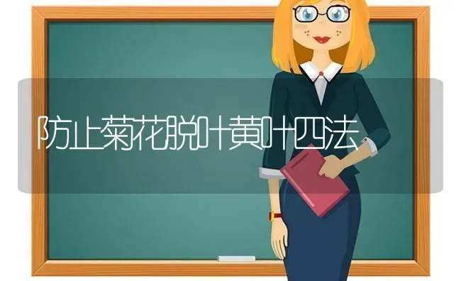 防止菊花脱叶黄叶四法 | 养殖技术大全