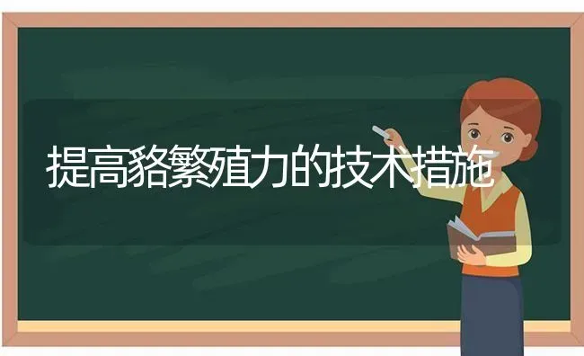 提高貉繁殖力的技术措施 | 养殖技术大全