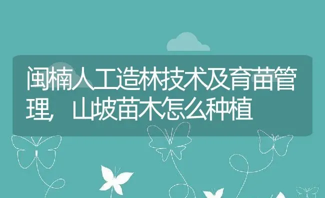 闽楠人工造林技术及育苗管理,山坡苗木怎么种植 | 养殖学堂