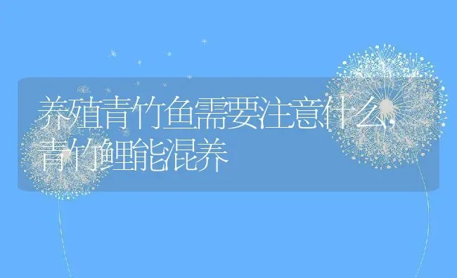 养殖青竹鱼需要注意什么,青竹鲤能混养 | 养殖学堂