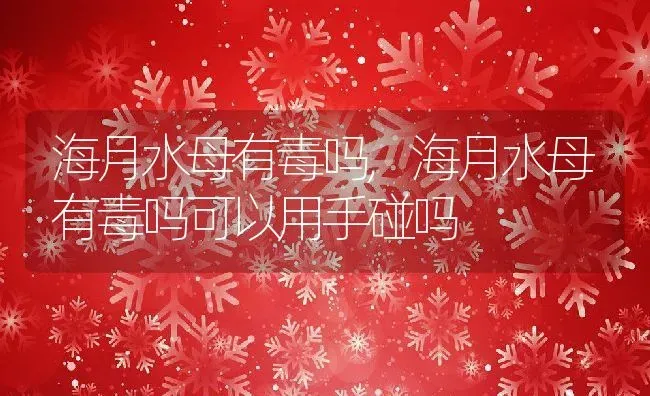 海月水母有毒吗,海月水母有毒吗可以用手碰吗 | 养殖科普