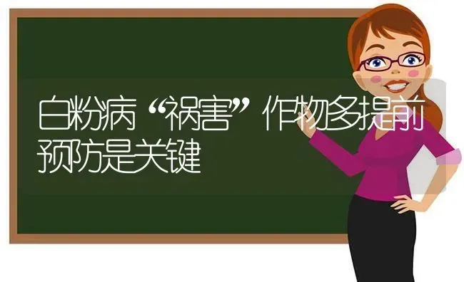白粉病“祸害”作物多提前预防是关键 | 养殖技术大全