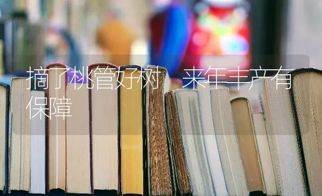 摘了桃管好树 来年丰产有保障 | 养殖技术大全