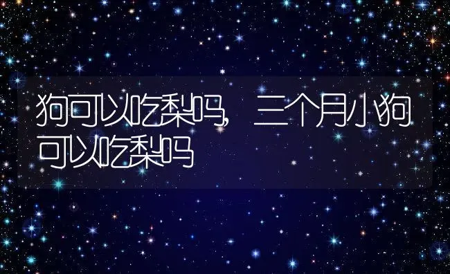 狗可以吃梨吗,三个月小狗可以吃梨吗 | 养殖资料
