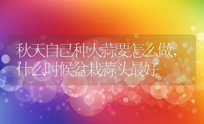 秋天自己种大蒜要怎么做,什么时候盆栽蒜头最好 | 养殖学堂