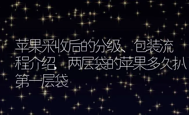 苹果采收后的分级、包装流程介绍,两层袋的苹果多久扒第一层袋 | 养殖学堂