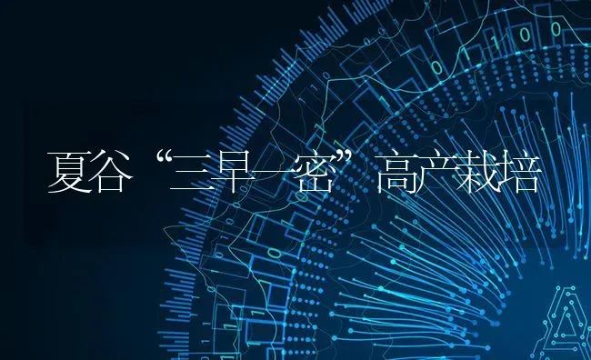 夏谷“三早一密”高产栽培 | 养殖知识