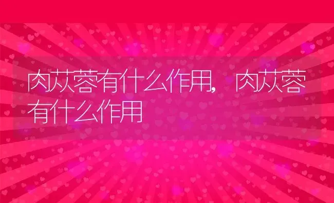 肉苁蓉有什么作用,肉苁蓉有什么作用 | 养殖科普