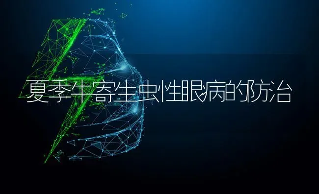 夏季牛寄生虫性眼病的防治 | 养殖技术大全