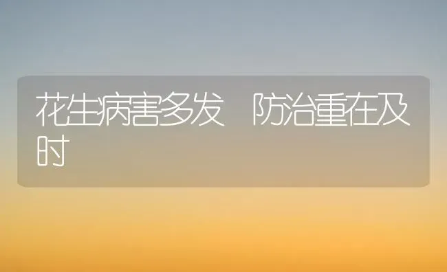 花生病害多发 防治重在及时 | 养殖技术大全