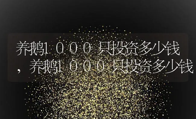 养鹅1000只投资多少钱,养鹅1000只投资多少钱 | 养殖科普