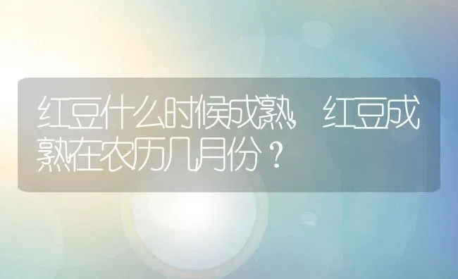 红豆什么时候成熟,红豆成熟在农历几月份？ | 养殖科普