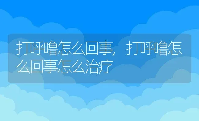 打呼噜怎么回事,打呼噜怎么回事怎么治疗 | 养殖资料