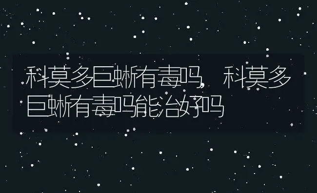 科莫多巨蜥有毒吗,科莫多巨蜥有毒吗能治好吗 | 养殖科普